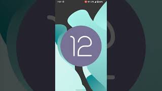 Samsung Galaxy S3 LTE GTI9305 Android 12 LineageOS 190 [upl. by Elleinad]