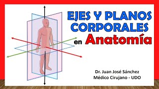 🥇 PLANOS Y EJES CORPORALES en Anatomía ¡Fácil Rápido y Sencillo [upl. by Uyr]