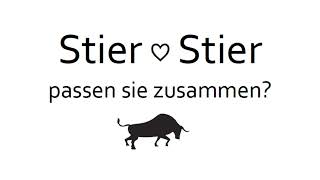 Sternzeichen STIER und STIER❤️ Partner Wie passen sie zusammen Partnerhoroskop [upl. by Hesper695]