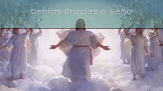 Demos gracias al señor Alabanzas Cristianas [upl. by Tewfik679]