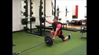 Landmine Valslide Reverse Lunges [upl. by Tnarud]