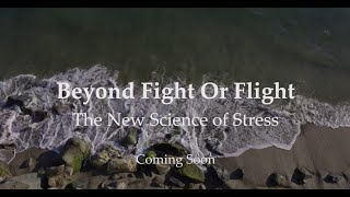 Beyond Flight or Fight The New Science of Stress A New AIS Documentary Movie Coming in 2025 [upl. by Ecirtnom]