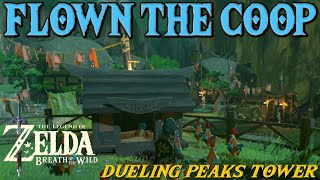 Flown the Coop Side Quest  Zelda Breath of the Wild [upl. by Adnolrehs684]