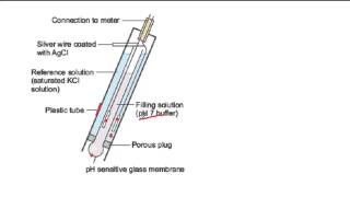 How a pH probe works [upl. by Palumbo]