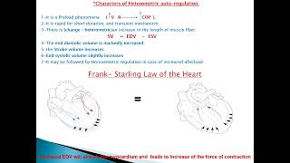 CVS4 cardiac output 2 [upl. by Reivazx577]