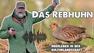 Das Rebhuhn  Überleben in der Kulturlandschaft  jagdtalk  Der Jagd Podcast von Markus Stifter [upl. by Kieger]