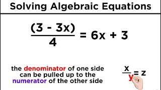 Algebraic Equations With Variables on Both Sides [upl. by Refinnaej811]