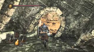 DARK SOULS II Scholar of the First Sin Dull Ember Location [upl. by Donaghue]