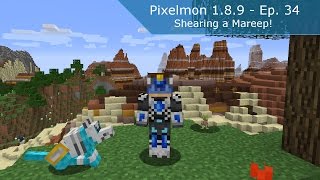 Minecraft  Pixelmon 189  34  Shearing a Mareep [upl. by Eneladgam519]