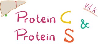 Protein C and Protein S  Inhibitors of coagulation  Protein C Deficiency Protein S Deficiency [upl. by Thessa452]