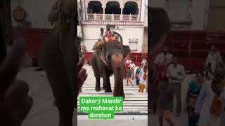 dakor mandir me mahavat k darshan karvae🙏 viralvideo viralreels राजा रणछोड़ की जय ।। [upl. by Illoh]