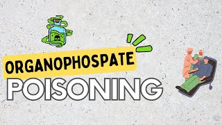 Organophosphate poisoning signs Pathophysiology diagnosis and Treatment [upl. by Llenel951]