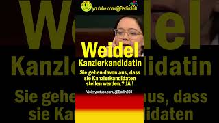 aliceweidel kandidaten kanzler Kanzlerkandidaten chrupalla Markuslanz lanz afd Bundestag [upl. by Devlin]