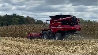 2016 CASE IH 4412F For Sale [upl. by Anirtep]