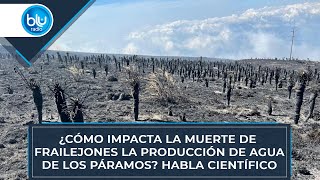 ¿Cómo impacta la muerte de frailejones la producción de agua de los páramos Habla científico [upl. by Nannerb]