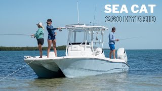 The Sea Cat 260 Hybrid Lifestyle [upl. by Campbell]