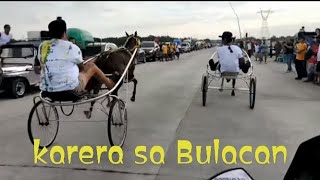 karera Ng kabayo sa Bulacan horse harness race karera sa bulacan [upl. by Luckett]