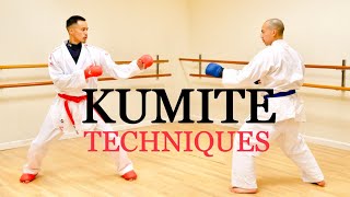 10 ULTIMATE KUMITE TECHNIQUES 🥋⛩ [upl. by Nyllek]