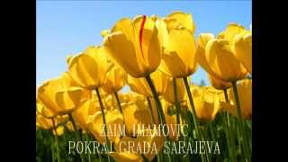 ZAIM IMAMOVIC  Pokraj grada Sarajeva [upl. by Alleunam810]