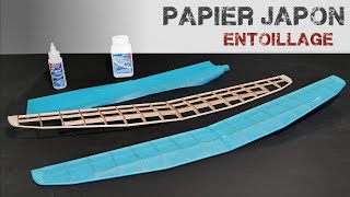 Entoilage au papier Japon avec les produits Deluxe Materials [upl. by Eibbil]