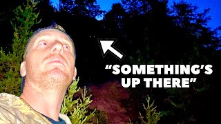 Bigfoot Threatens to Charge at Lone Investigator on Camera and Throws a Rock at Him in NC Mountains [upl. by Waite]