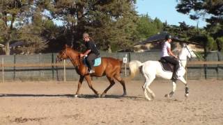 Caruso Josselyn amp Jennys Pride  Carrousel [upl. by Kinsman]