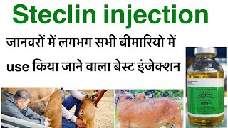 Steclin injection uses in hindioxytetracycline hcl injection uses in hindioxy veterinary injection [upl. by Nahttam]