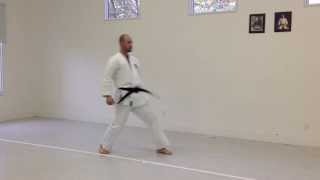 Mae Geri Chudan  IKD Testing Syllabus videos  Shotokan Karate 2013 [upl. by Adanama172]