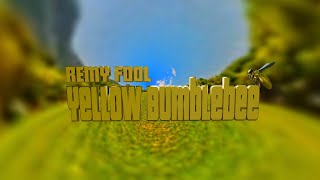 REMY FOOL  quotYellow Bumblebeequot offical video [upl. by Zeba]