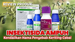 Kupas Tuntas KERITING CABE dan Review INSEKTISIDA AMPUH Elestal Neo Alika Galil [upl. by Sairtemed]