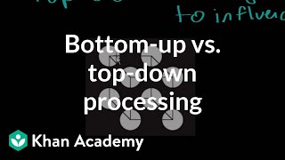 Bottomup vs topdown processing  Processing the Environment  MCAT  Khan Academy [upl. by Annaor]