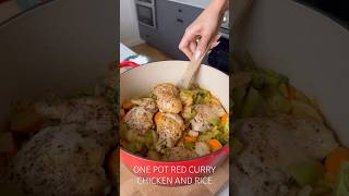 ONE POT RED CURRY CHICKEN AND RICE [upl. by Artamas]