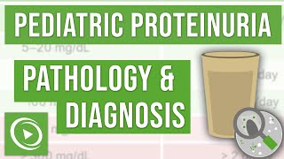 What is Proteinuria and how to diagnose it  Lecturio Pediatrics [upl. by Arabele989]