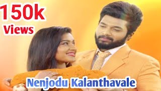 Nenjodu Kalanthavale Full Song  Sembaruthi Serial Love Song [upl. by Hagi]