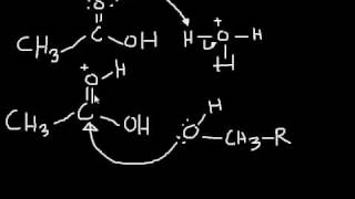 Esterification Mechanism making an ester from a carboxylic acid and an alcohol [upl. by Tarra]