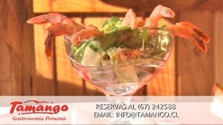 Tamango Restobar Coyhaique [upl. by Huberman]