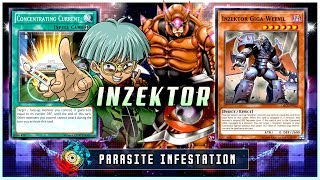 NEW INZEKTOR SUPPORT INZEKTOR OTK DECK  YuGiOh Duel Links [upl. by Akcirederf]