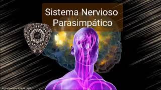 ☄️432 Hz  Tono vagal  Maneras de estimular el nervio vago  Sistema nervioso parasimpático  Repar [upl. by Annim]