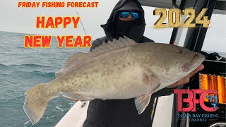 New Year Friday Fishing Forecast Tampa Bay Fishing [upl. by Assirralc72]