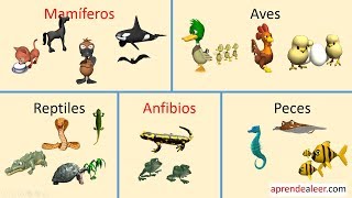 Animales vertebrados para niños mamiferos aves reptiles peces y anfibios [upl. by Clova]