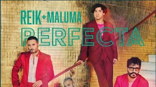 Perfecta  Reik Maluma Estreno [upl. by Maurene]