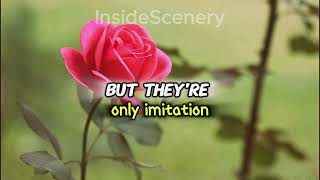 Marie OsmondPaper Roses LyricsThe very best of Marie Osmond songs [upl. by Aniteb]