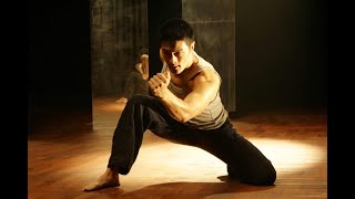 The Top 20 Martial Art Fight Scenes Part 1 [upl. by Rawdin]