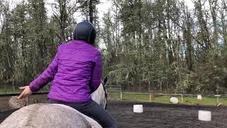 Types of Equestrians Part 2 [upl. by Gery]