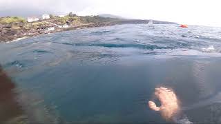 Pico Azores Spearfishing 2021 [upl. by Oguh]