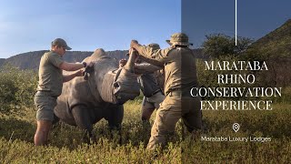 The Marataba Rhino Conservation Experience [upl. by Kragh678]