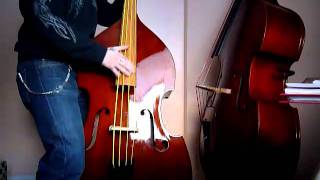 Slapping pure NylonStrings like Weedwackers on DoubleBass [upl. by Ibbison]