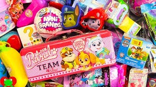 Opening Paw Patrol Surprise Eggs Mini Brands Surprises [upl. by Hollie821]