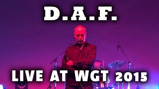 DAF  Der Mussolini Tanz den Mussolini  Live at Wave Gotik Treffen WGT 2015 [upl. by Amorete]