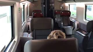 Executive class seat on Trenitalia Frecciarossa [upl. by Eissak]